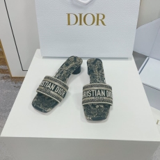 Christian Dior Slippers